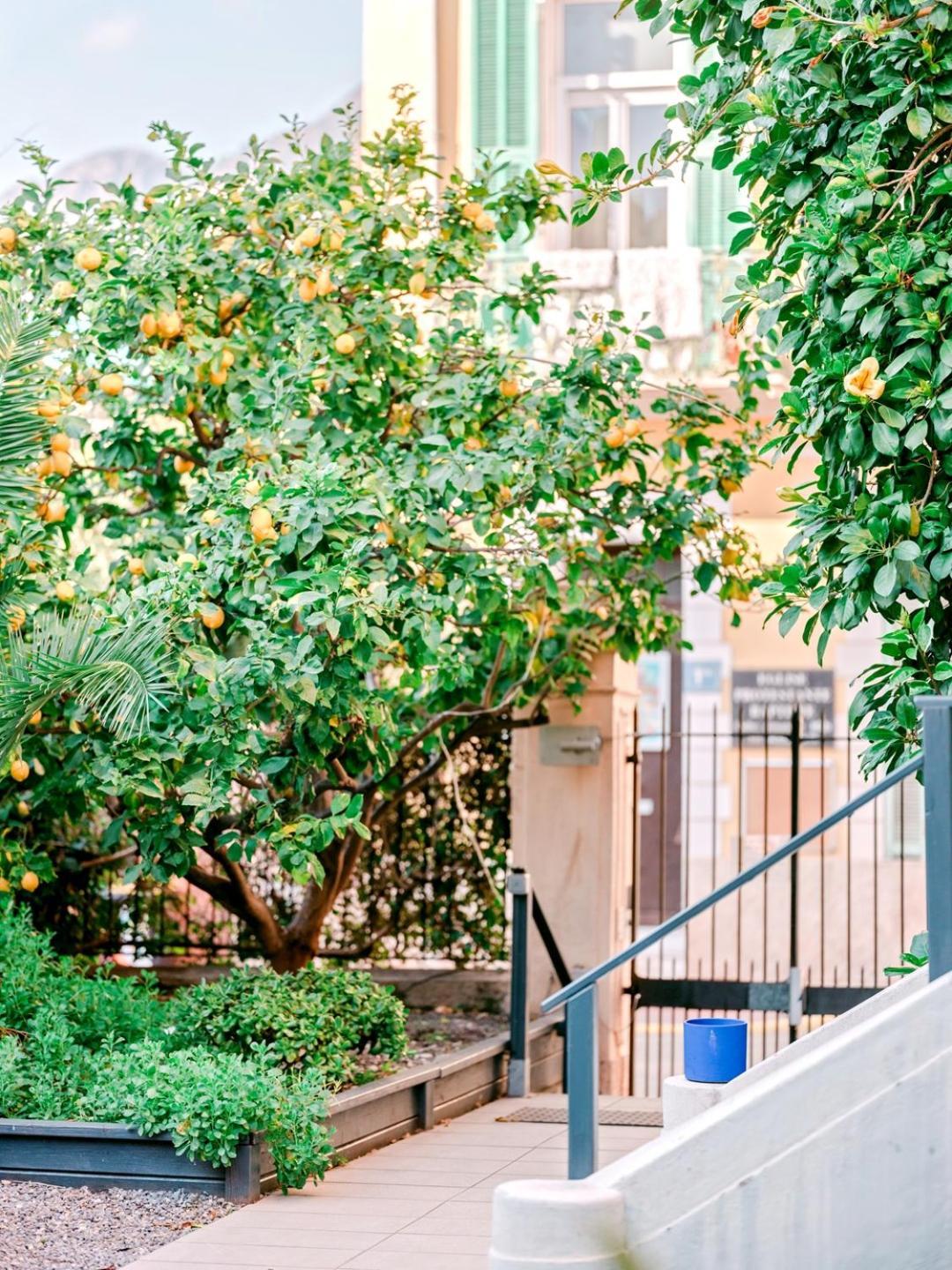 Hotel Lemon Ментона Екстериор снимка